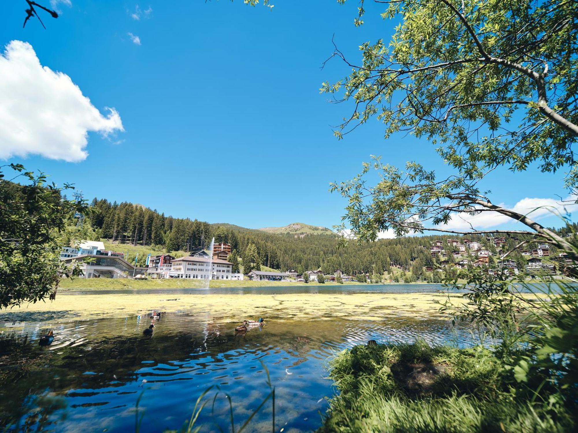 Haus Padrun 8 By Arosa Vacations Apartamento Exterior foto